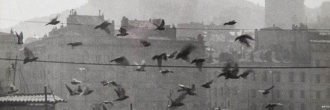 Ekramy banner