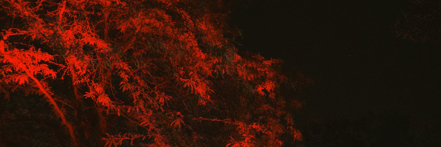 tonspender's profile banner image