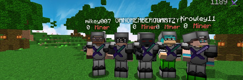 NEWFAG_CLAN banner