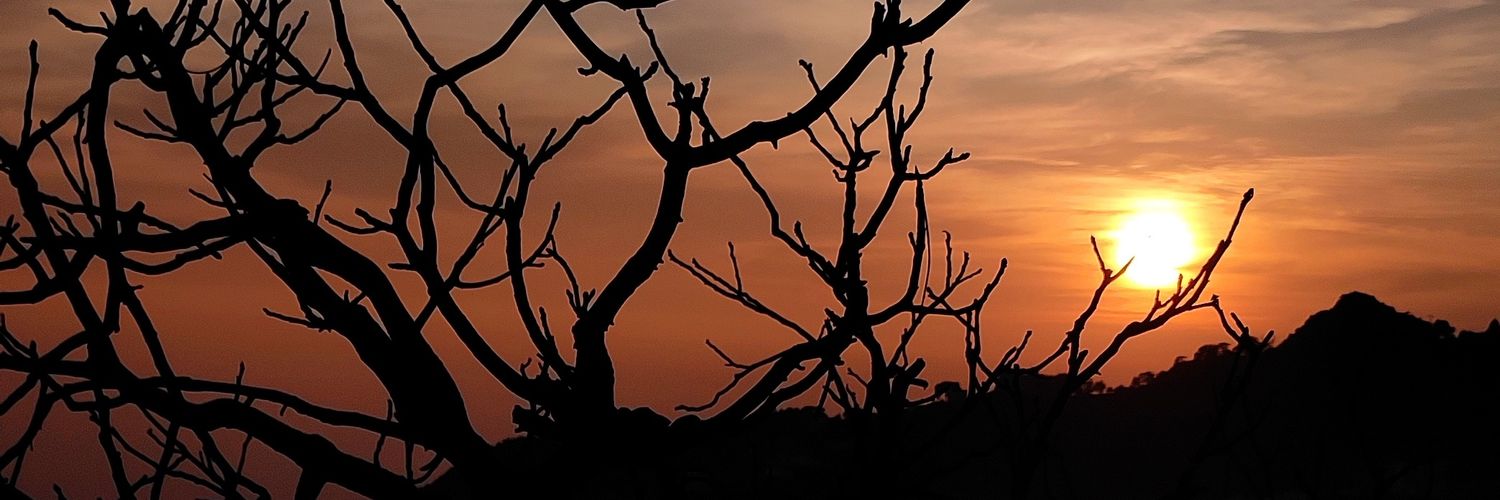 Rahul Chauhan banner