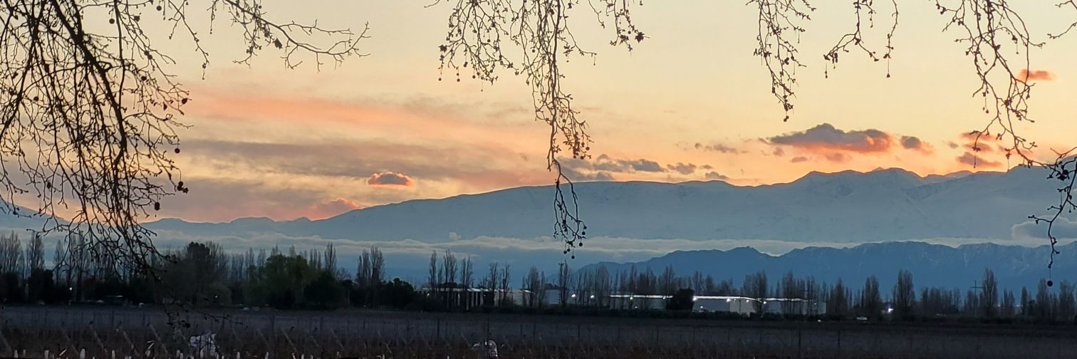 mancusomaxi_'s profile banner image