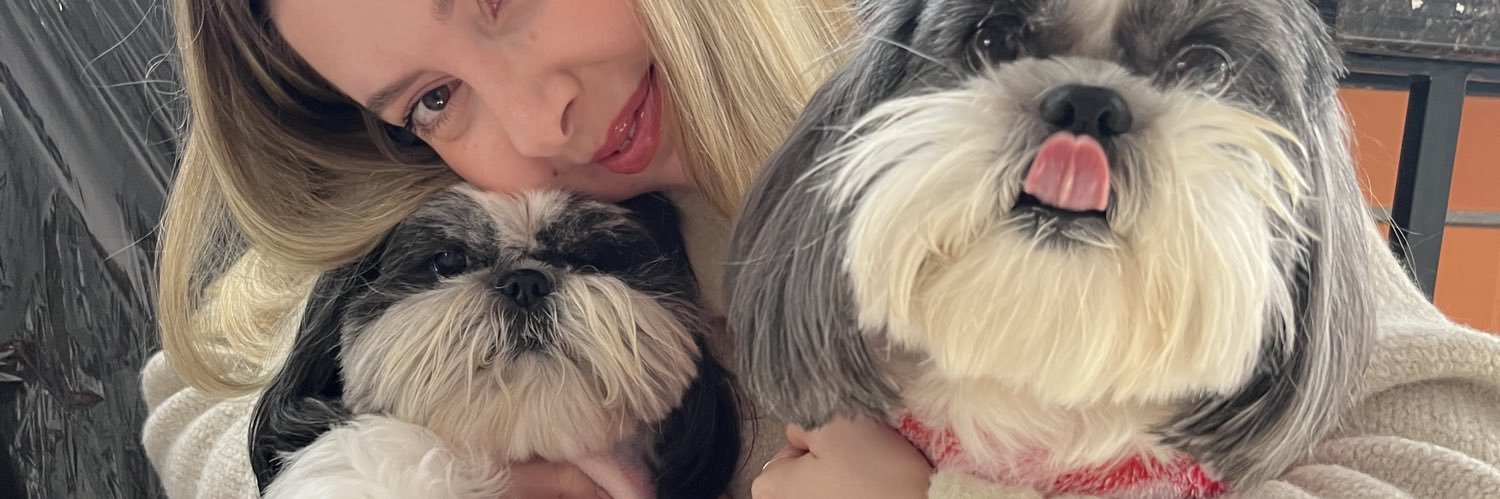 camispaniol's profile banner image