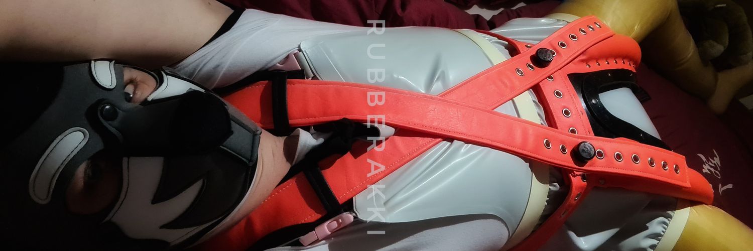 RubberArtemis's profile banner image
