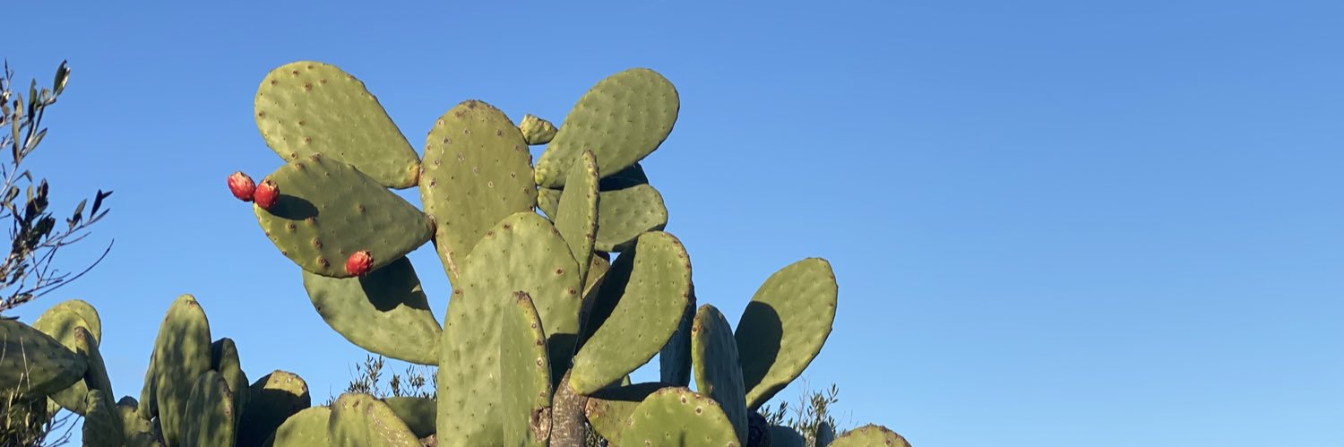 mut_tomas's profile banner image