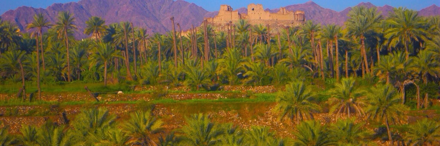 oman202039's profile banner image