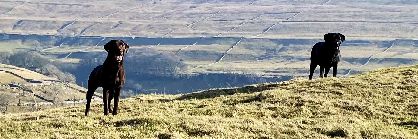 NancyandLottie banner