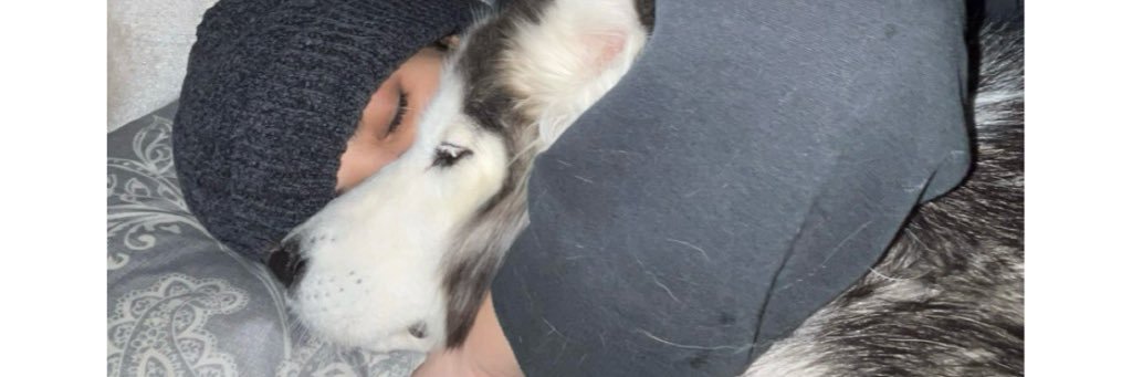 sleepysalma's profile banner image