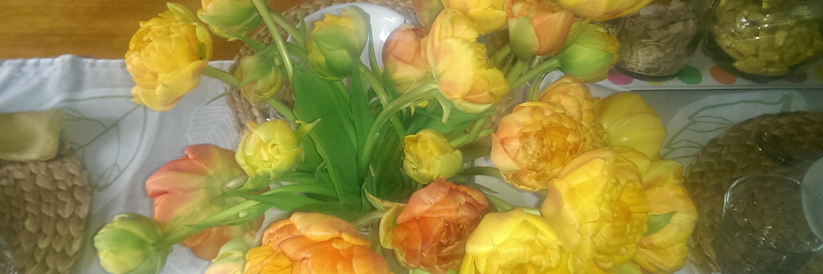 Barbara Ofstad banner