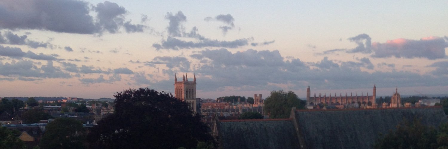 simon🚩🇵🇸 banner