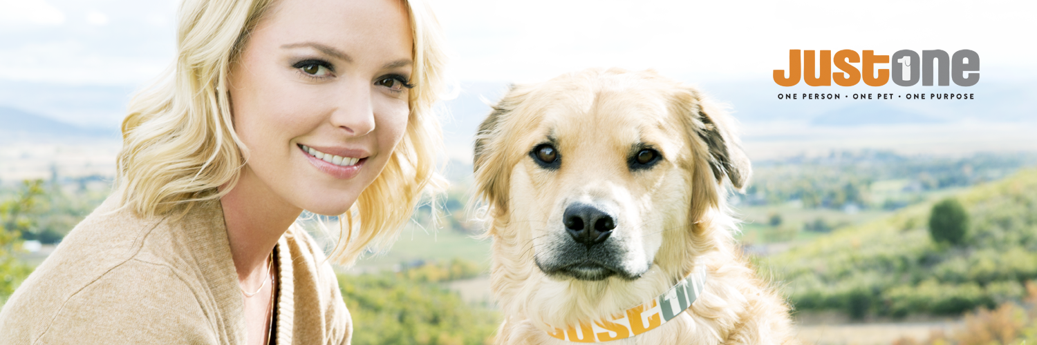 justonepet's profile banner image