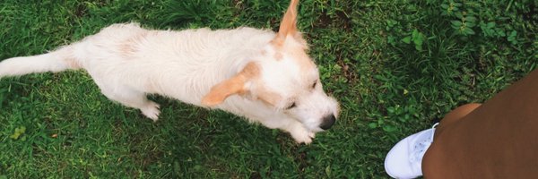 TattyLidieth Profile Banner