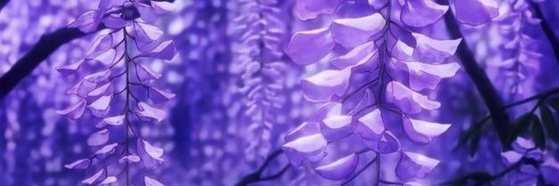 hemquisha's profile banner image