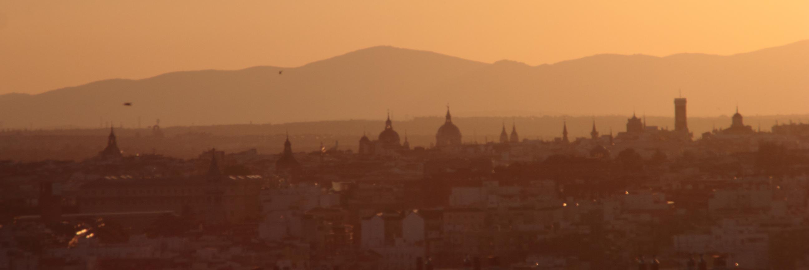 Letragenes's profile banner image