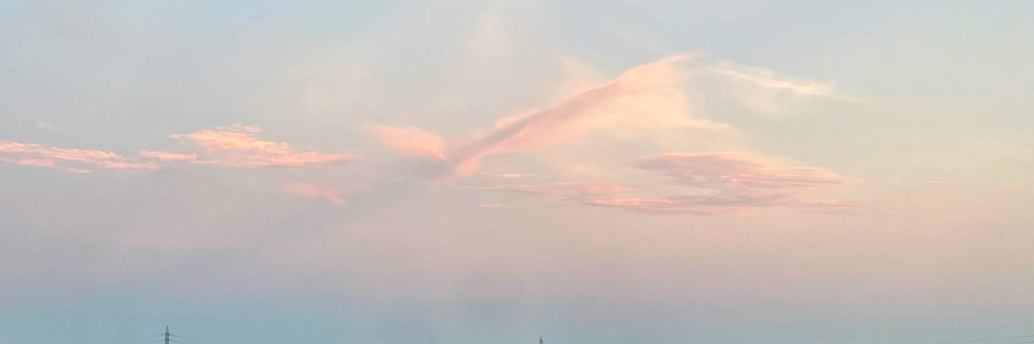 yocchipou's profile banner image