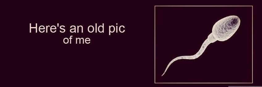 Mobolaji's banner