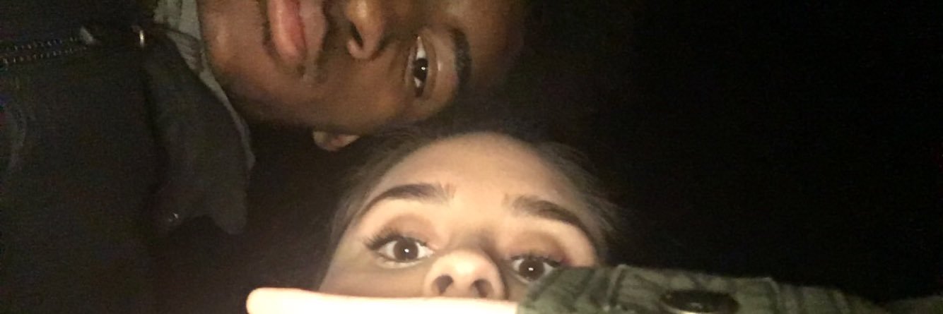 Devin banner