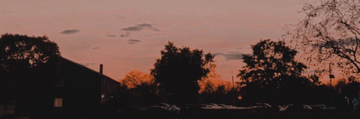 roseloucarroll's profile banner image