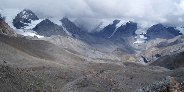 Anne Sofie Allarp banner