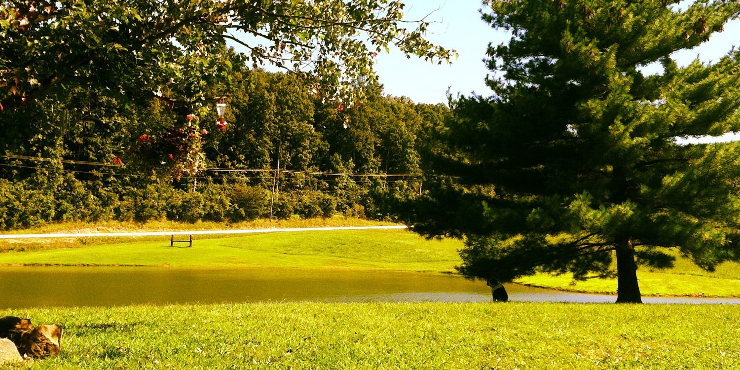 EBtrey_3's profile banner image