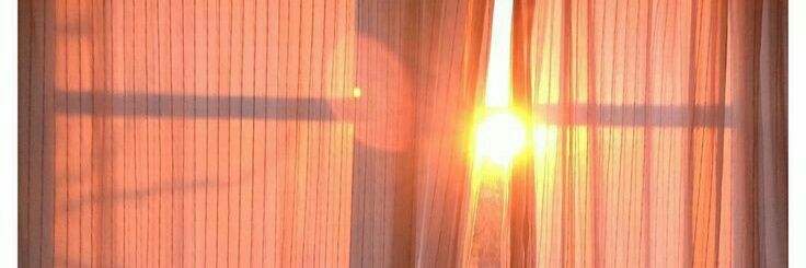 Jihoonny 🐷 banner