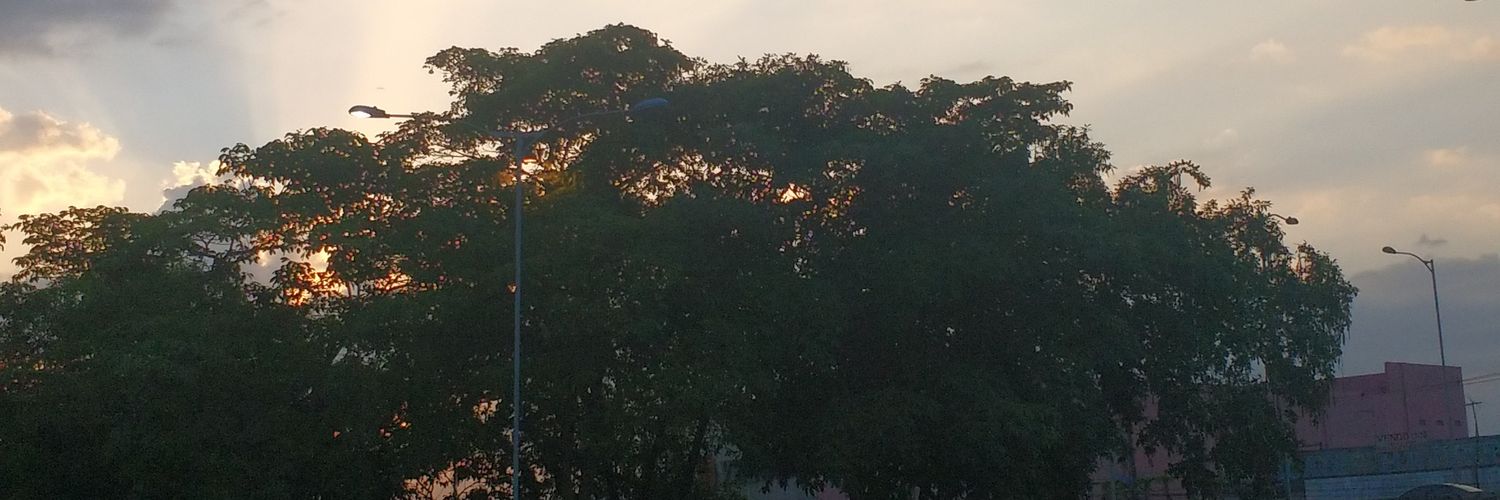 no_errado's profile banner image
