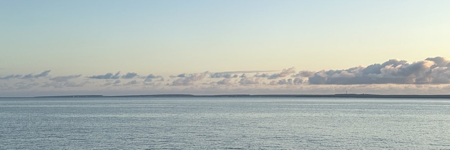 tefialava's profile banner image