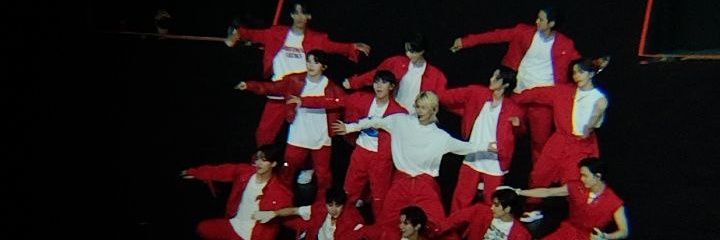 😽🍊 banner