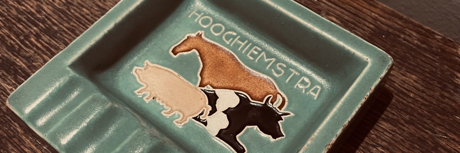 daniela hooghiemstra banner