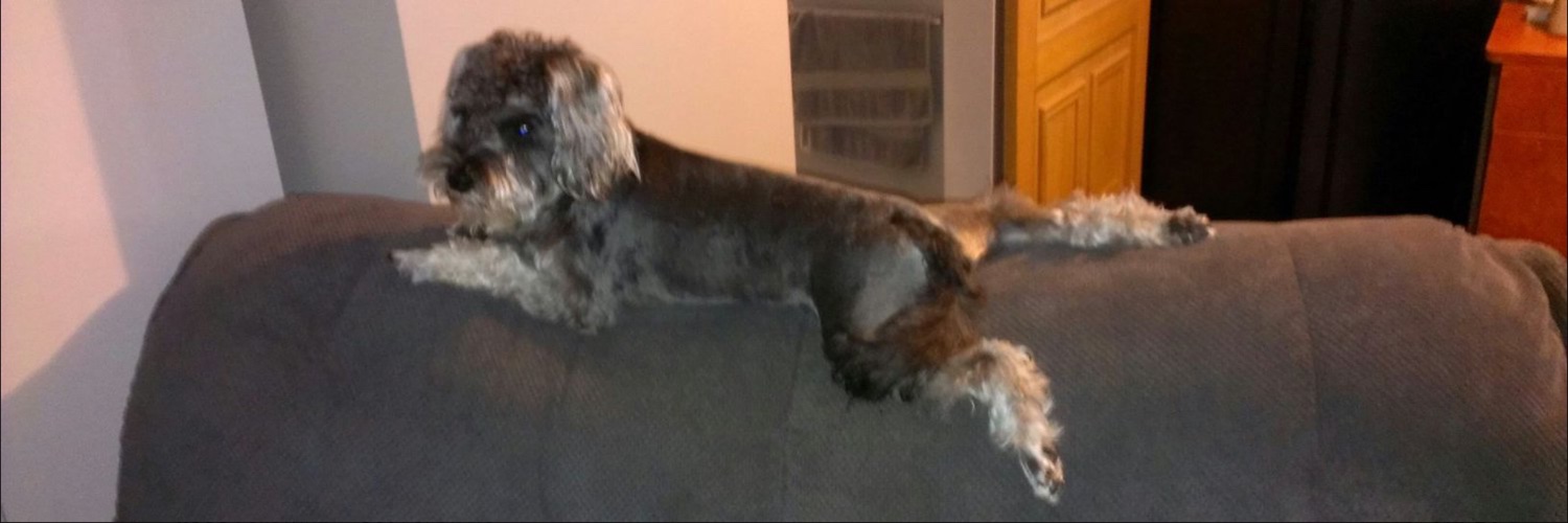 Sandi Hill & Arckstar (not that sort of hill/sand) banner