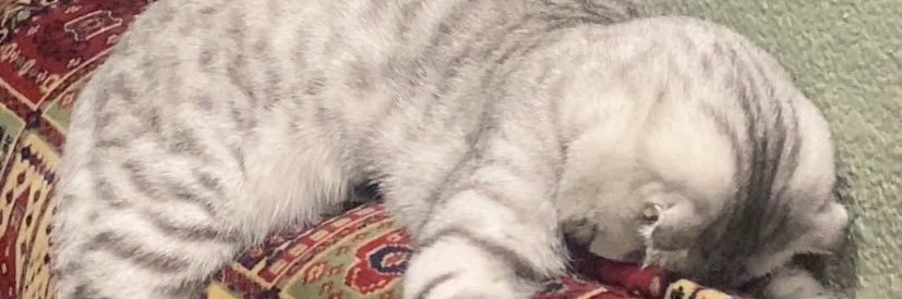 _hood_mood_'s profile banner image