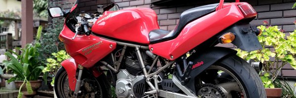 carorady_tk Profile Banner