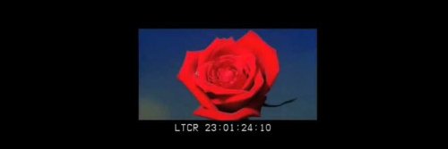 gach_98's profile banner image
