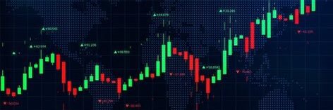 Sami Whale 🐋 banner
