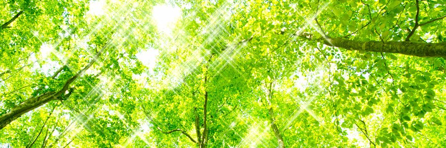 adarjo771's profile banner image