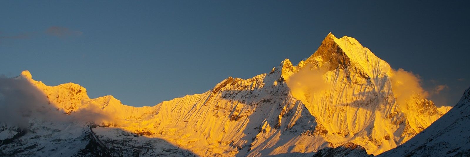 giorgiomanfredi's profile banner image