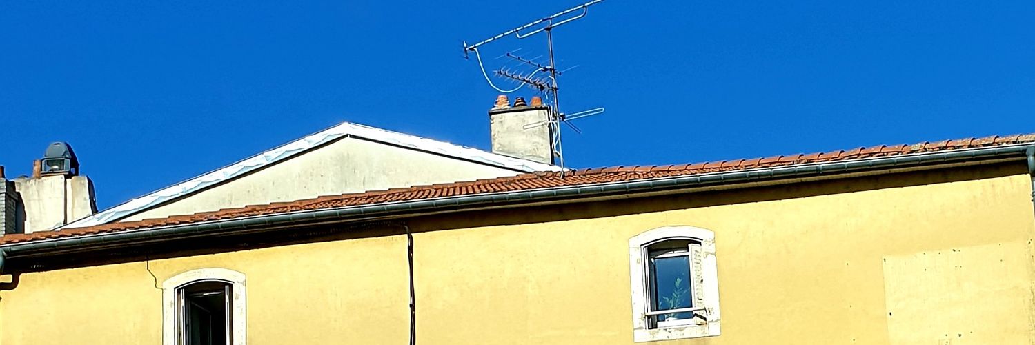 Dimitri Sydor-Vienne banner