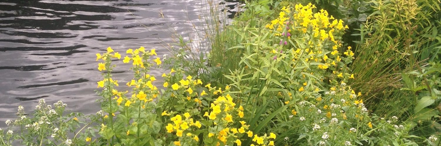 Wildlife Gardeners of Haggerston banner