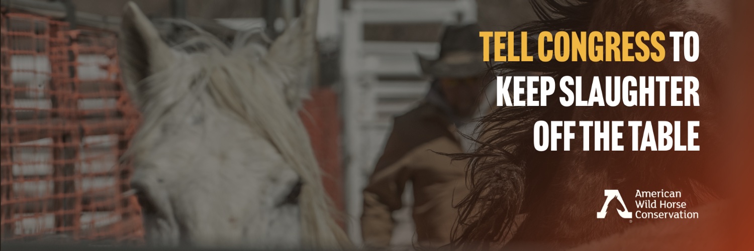 American Wild Horse Conservation's banner