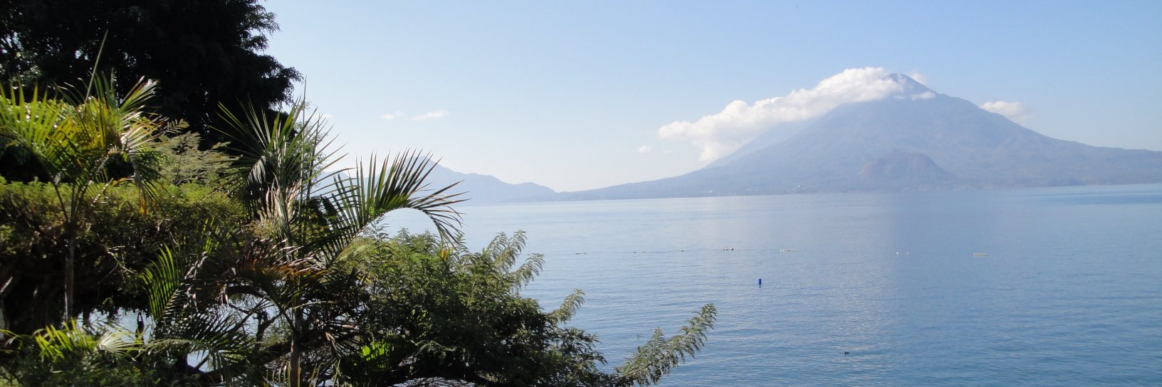 Frauke Sachse banner