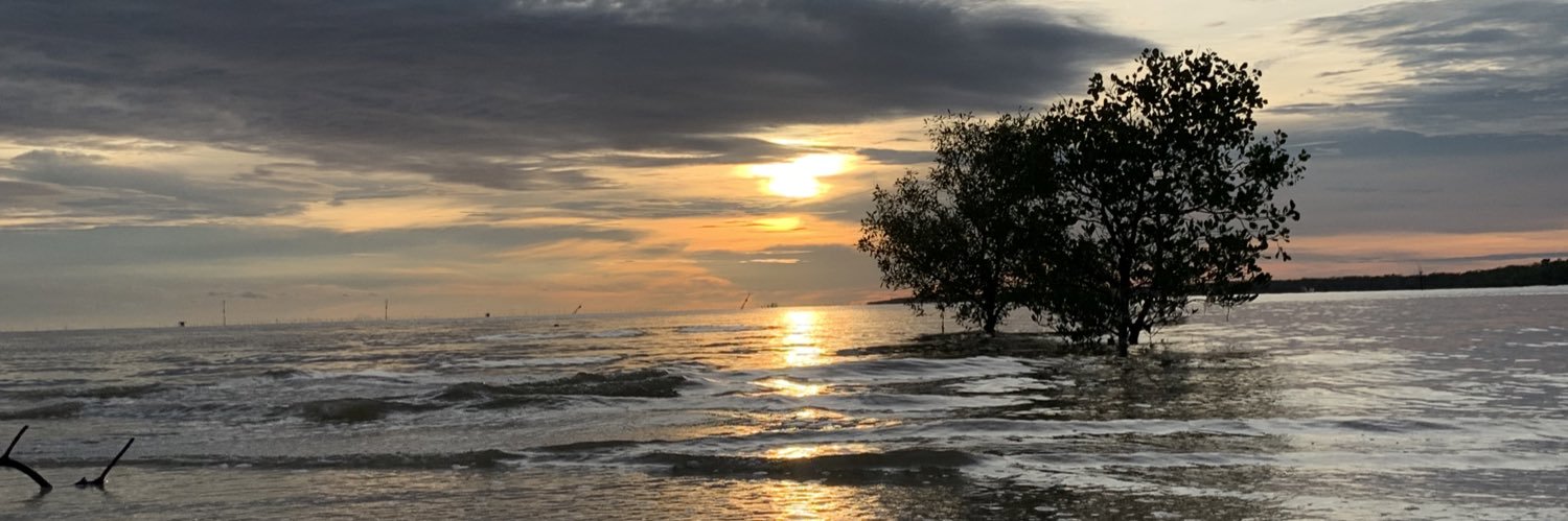 johnsowangi's profile banner image