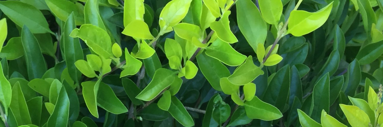 _KgothatsoM's profile banner image