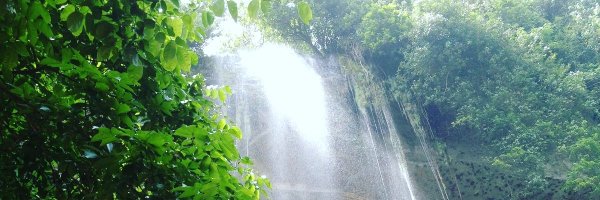 alim_fh Profile Banner