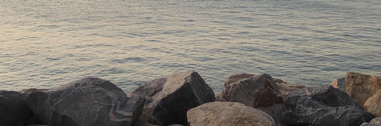 xoelisson's profile banner image
