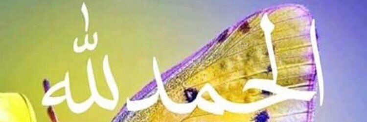 aashaaa1401's profile banner image