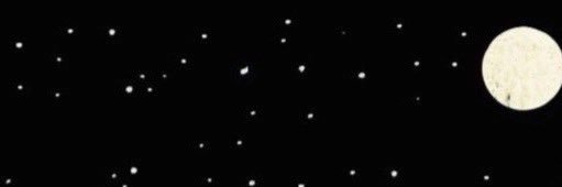 Terribleana_'s profile banner image