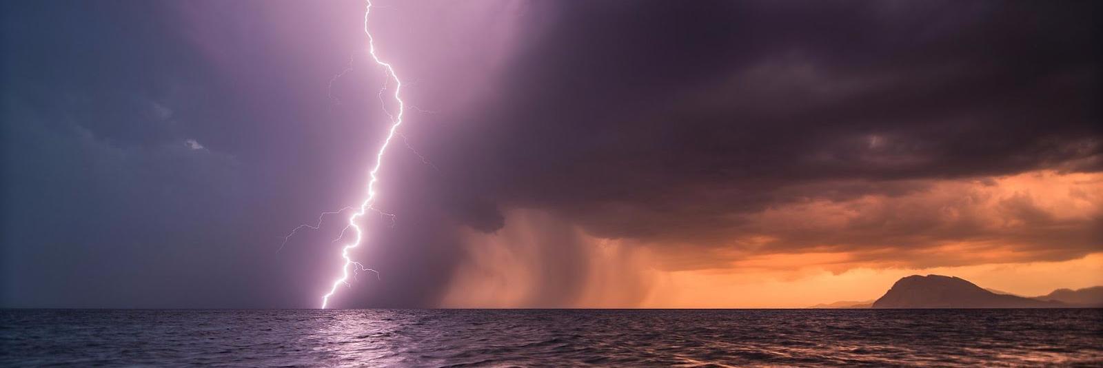 Charlene Newland banner