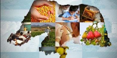 maisalimentos's profile banner image