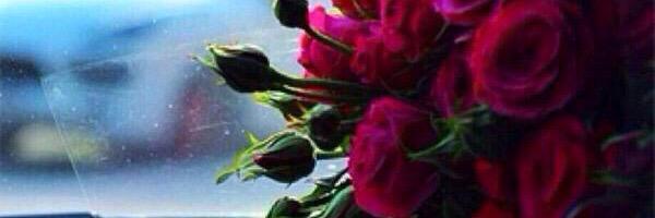 saud382's profile banner image