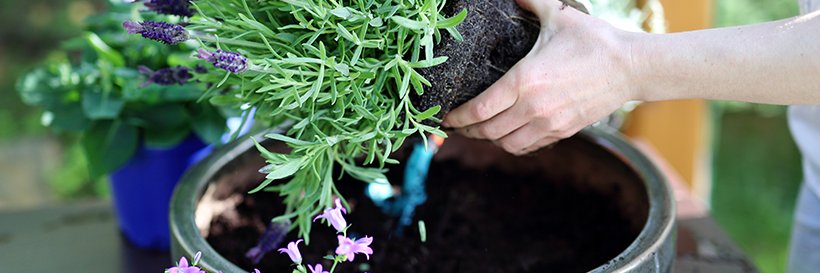 Cornell’s Hardware banner