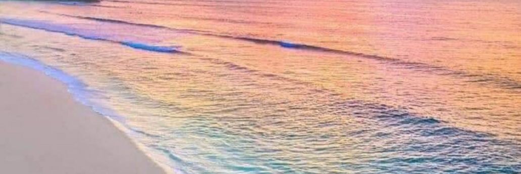 TWBrooklyn's profile banner image